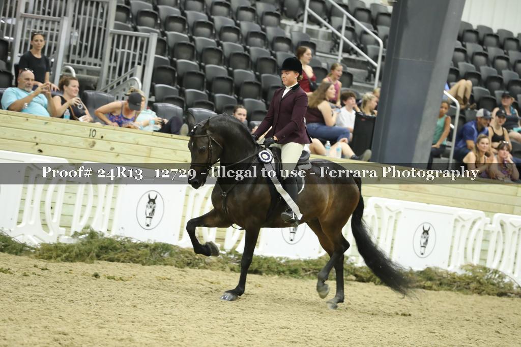 Proof 24R13_12729