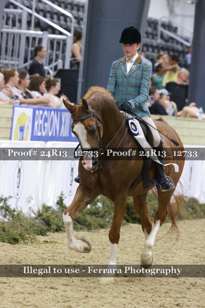 Proof 24R13_12733