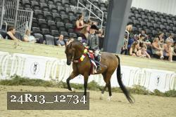 24R13_12734 proof