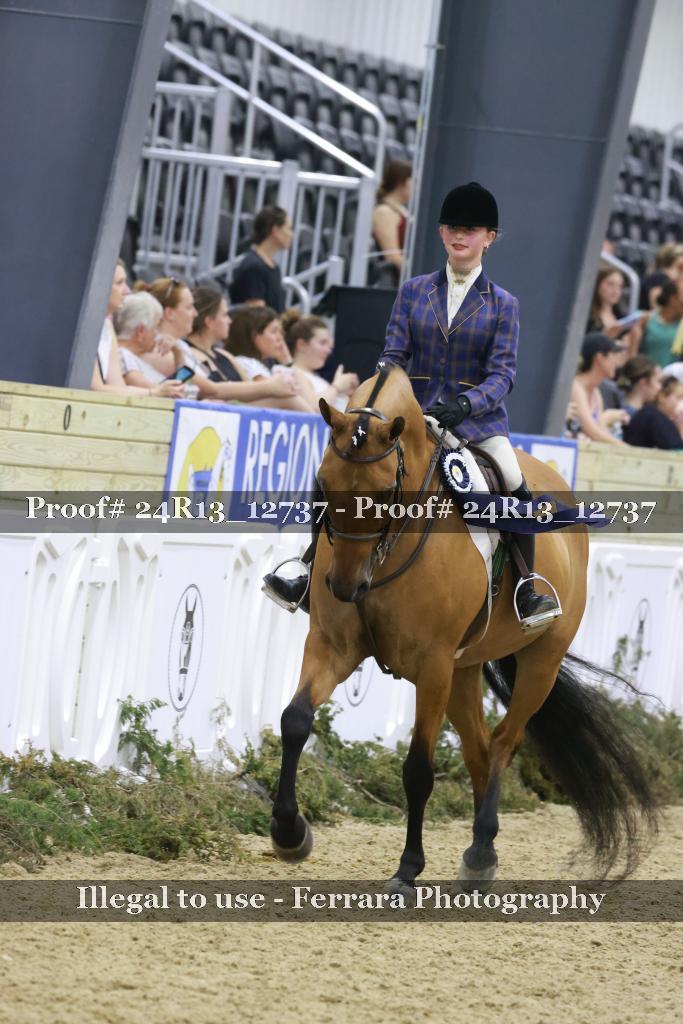 Proof 24R13_12737