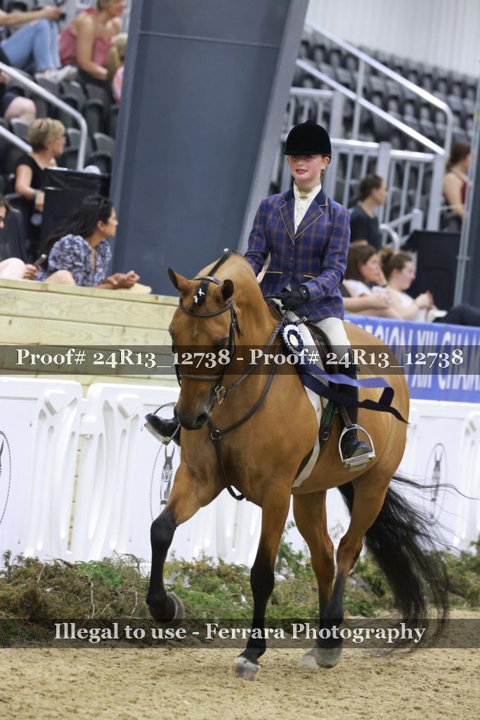 Proof 24R13_12738