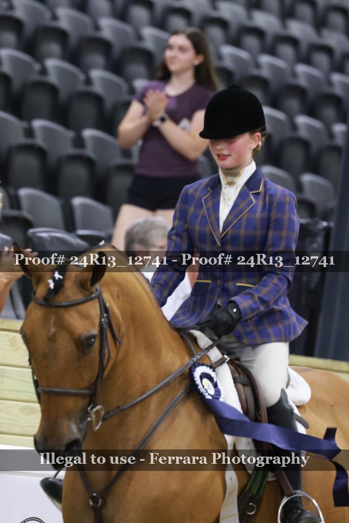 Proof 24R13_12741