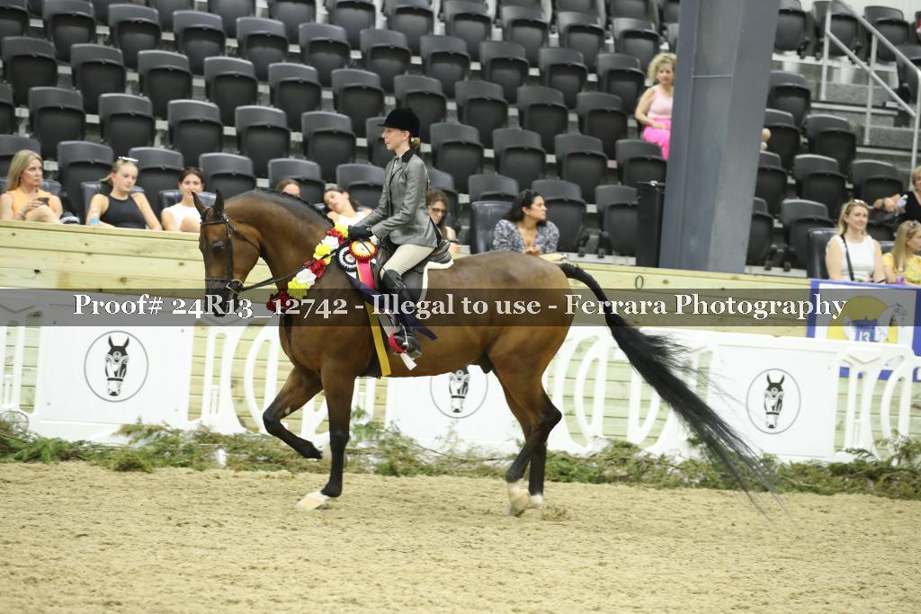 Proof 24R13_12742