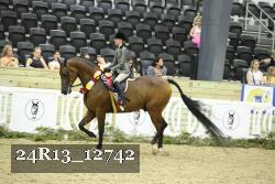 24R13_12742 proof