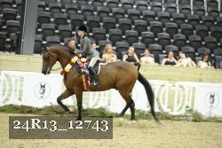24R13_12743 proof