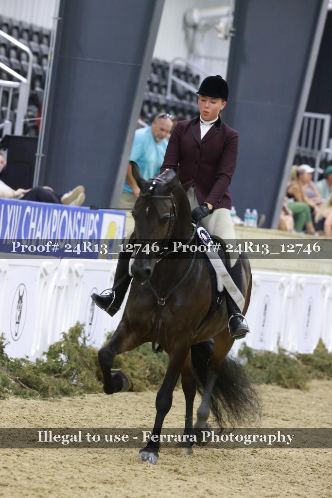 Proof 24R13_12746