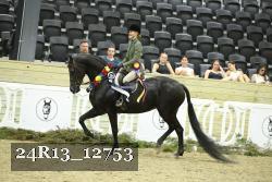 24R13_12753 proof