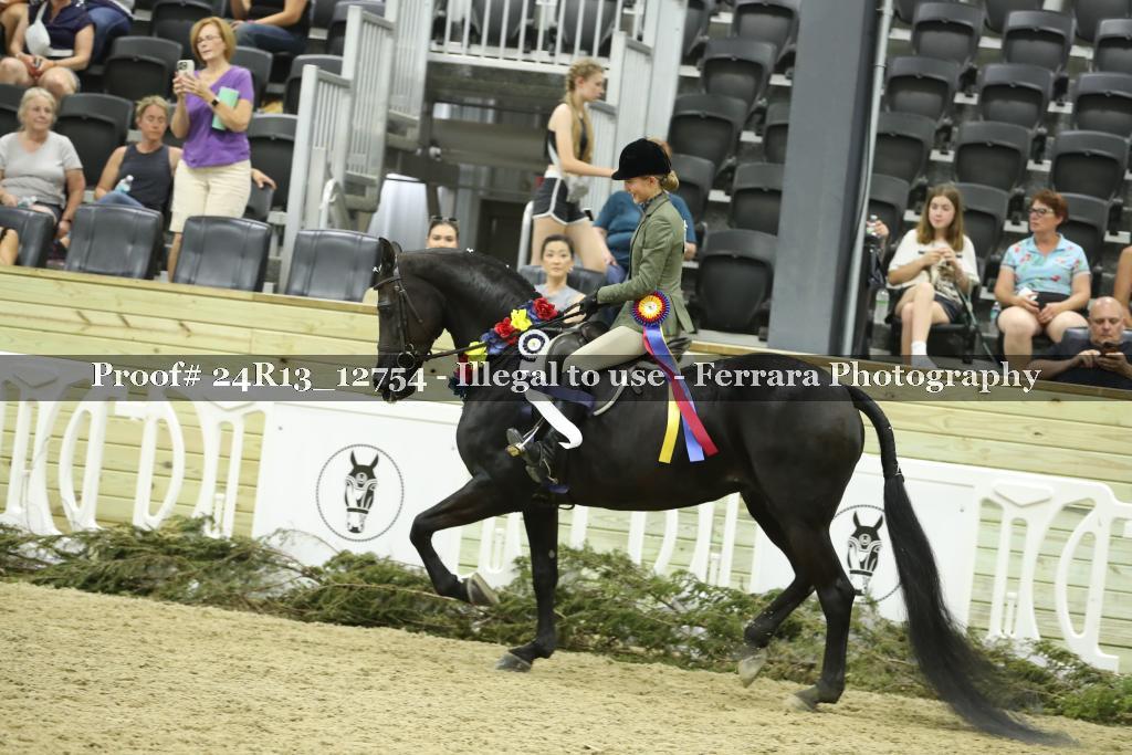 Proof 24R13_12754