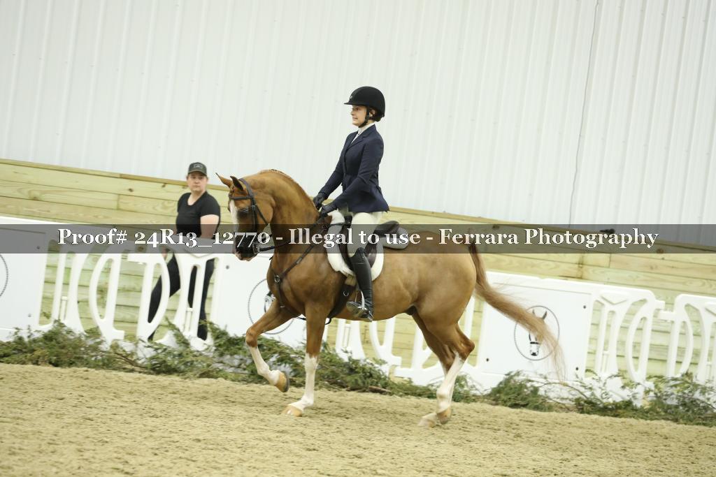 Proof 24R13_12770