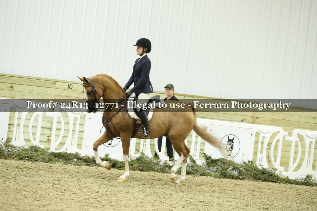 Proof 24R13_12771