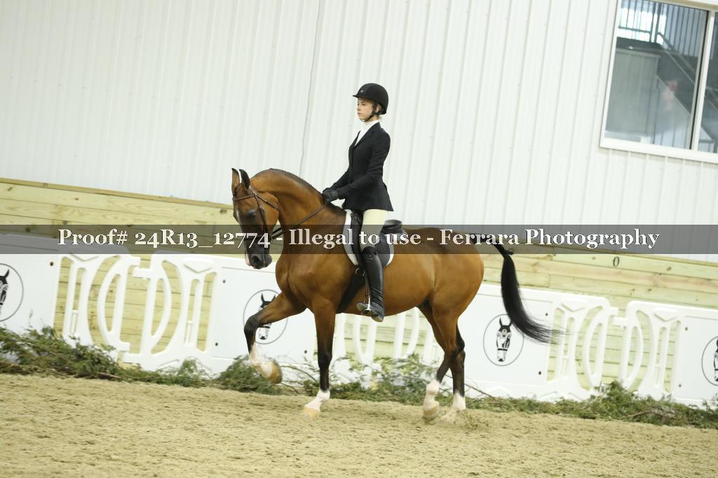 Proof 24R13_12774