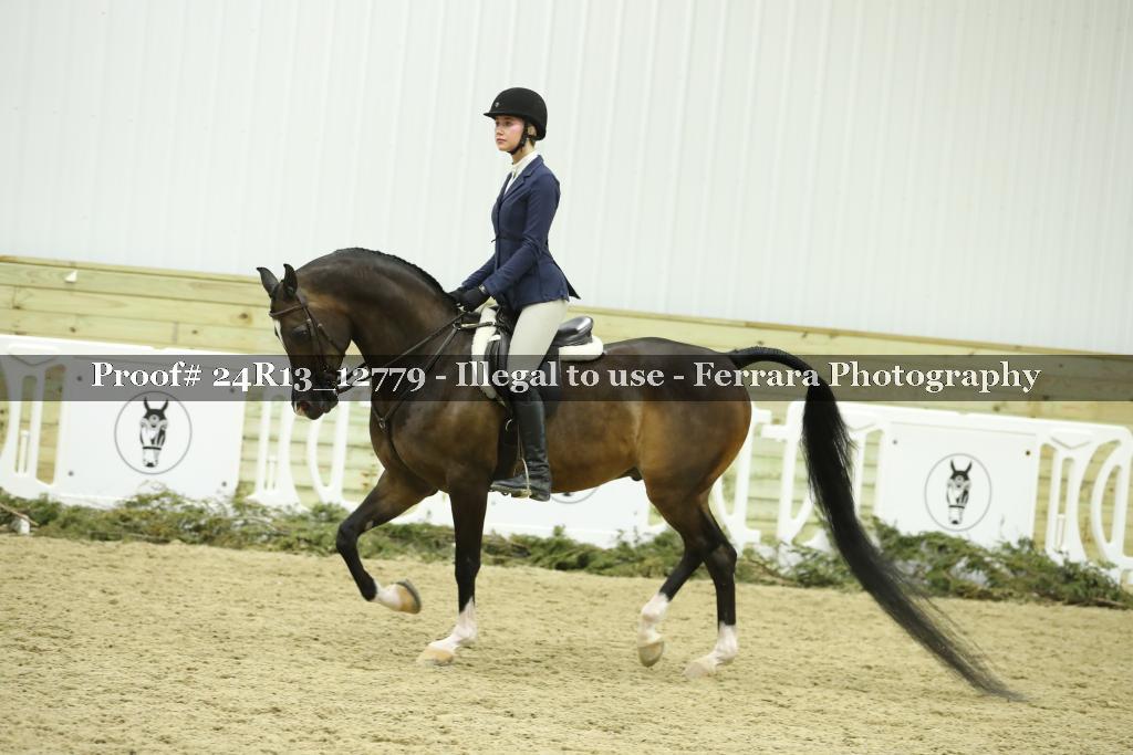 Proof 24R13_12779