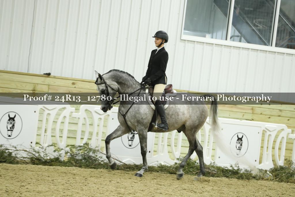Proof 24R13_12780