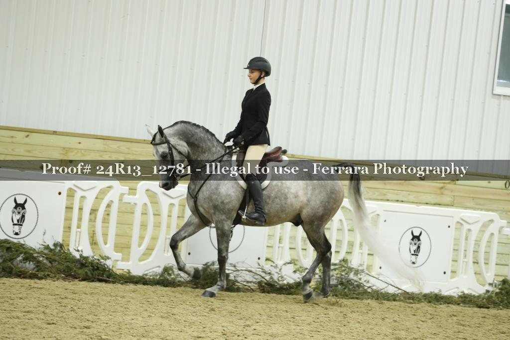 Proof 24R13_12781
