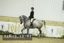 24R13_12781 proof