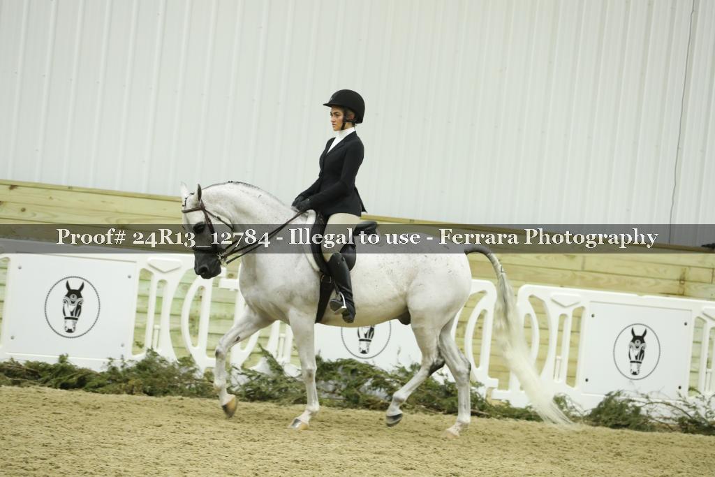 Proof 24R13_12784
