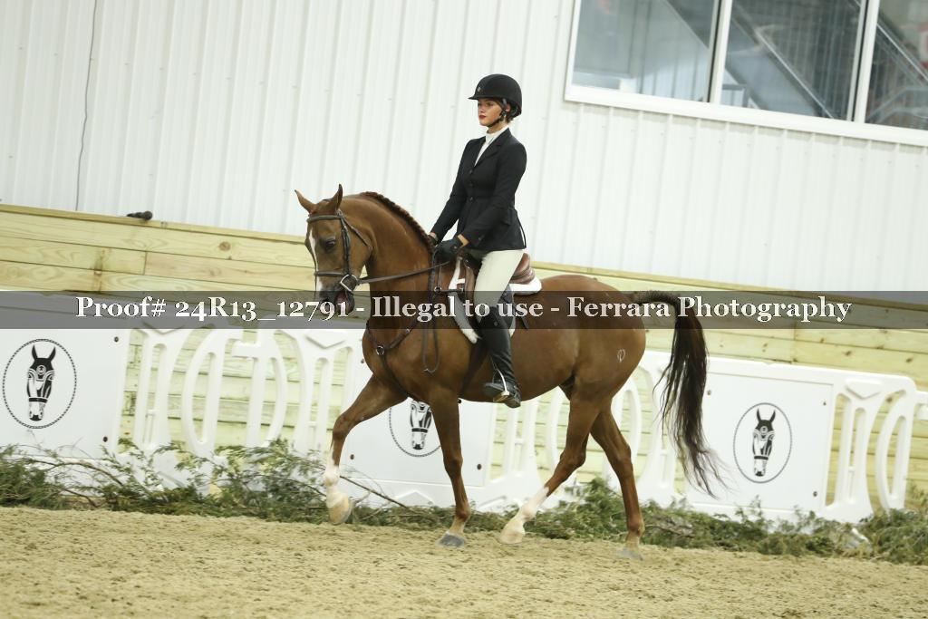 Proof 24R13_12791