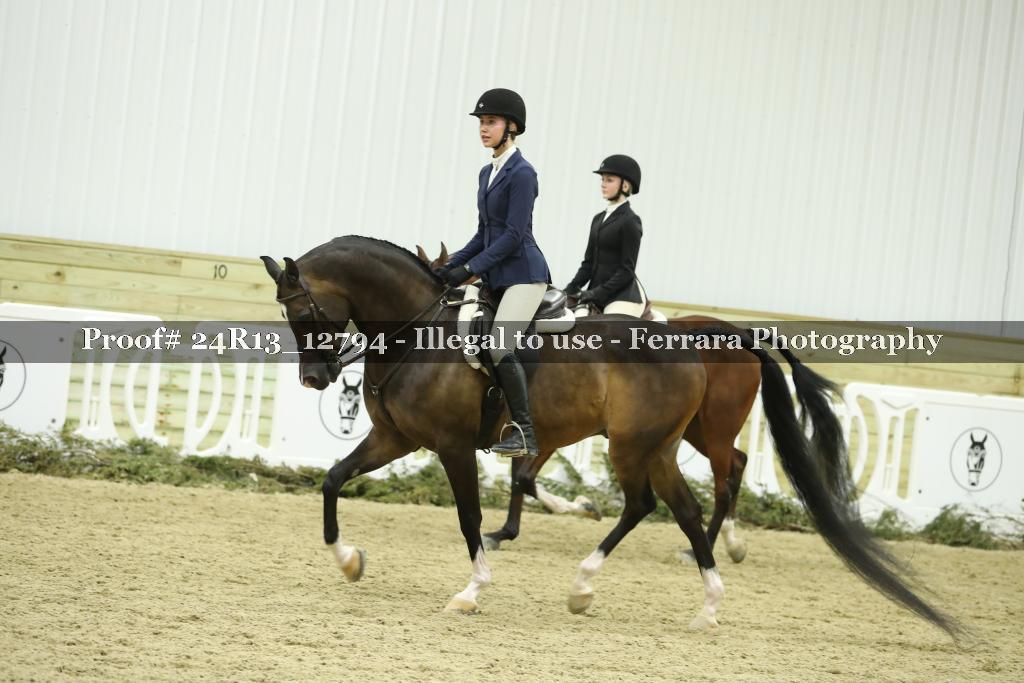 Proof 24R13_12794