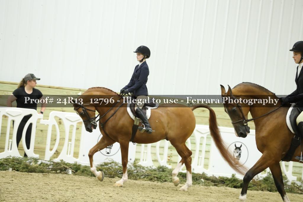 Proof 24R13_12796