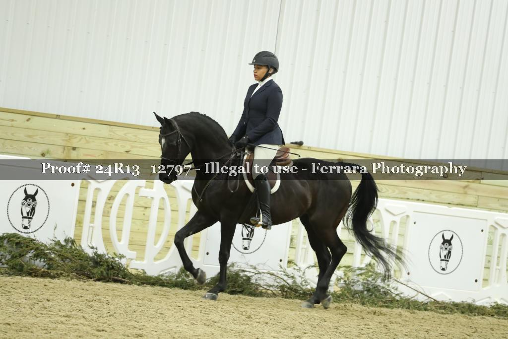 Proof 24R13_12797