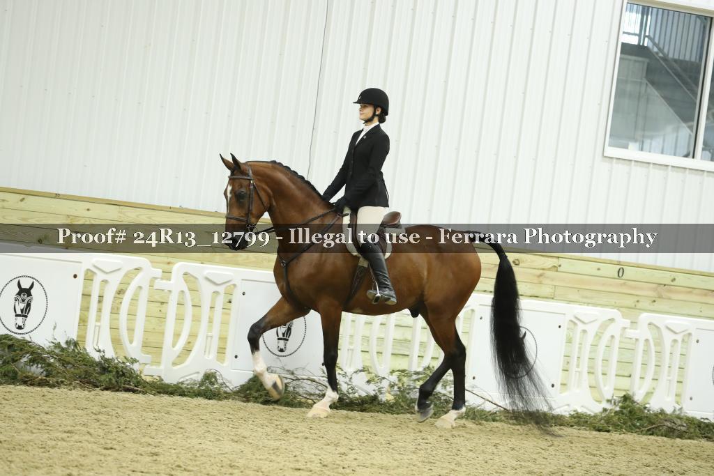 Proof 24R13_12799