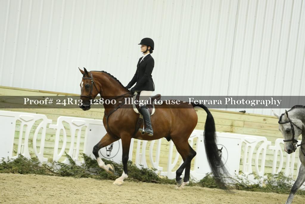 Proof 24R13_12800