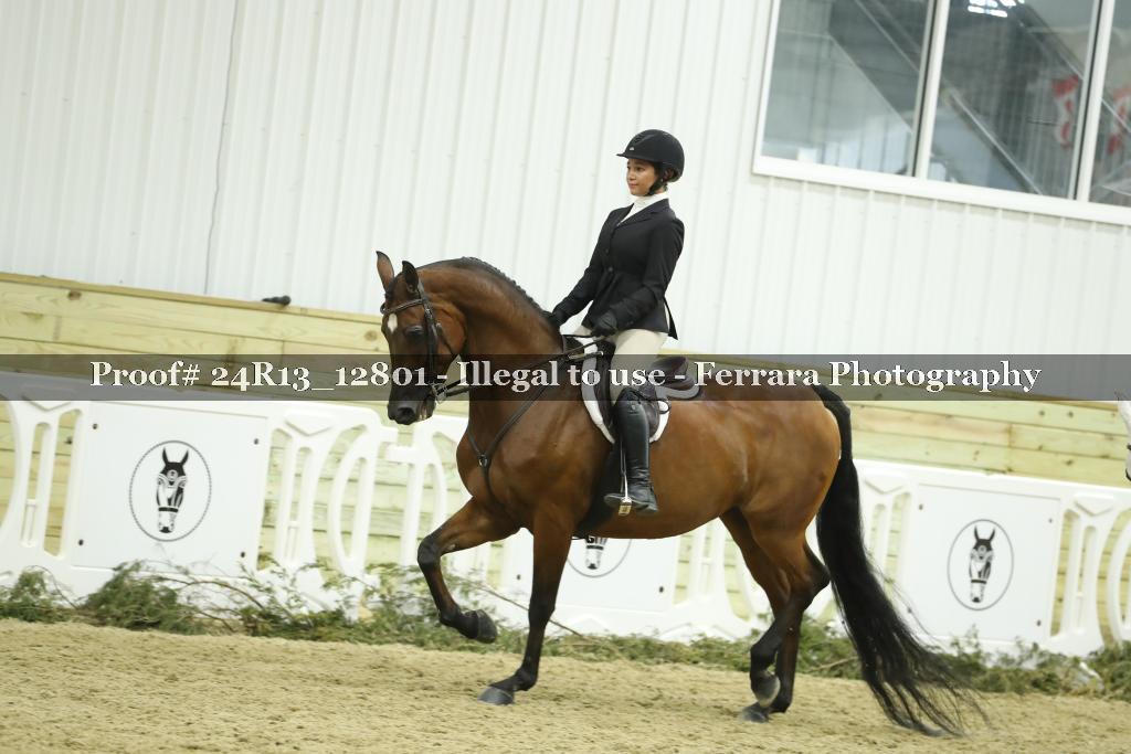 Proof 24R13_12801