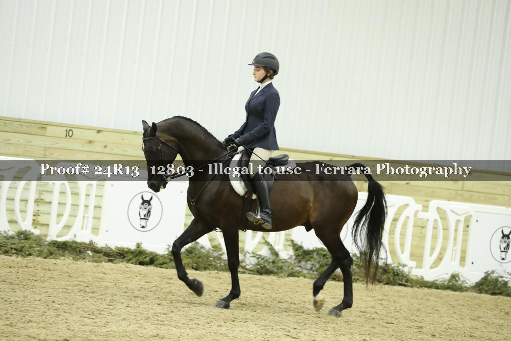 Proof 24R13_12803