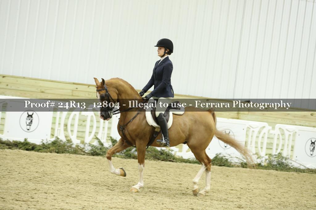 Proof 24R13_12804