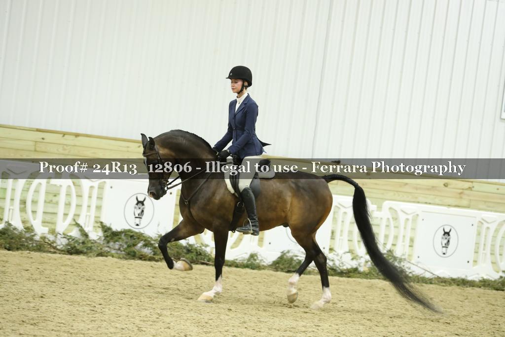 Proof 24R13_12806