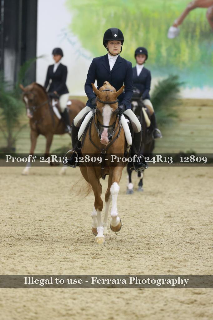 Proof 24R13_12809
