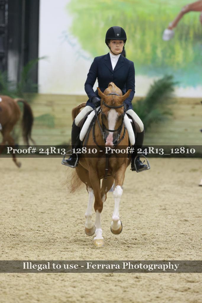 Proof 24R13_12810