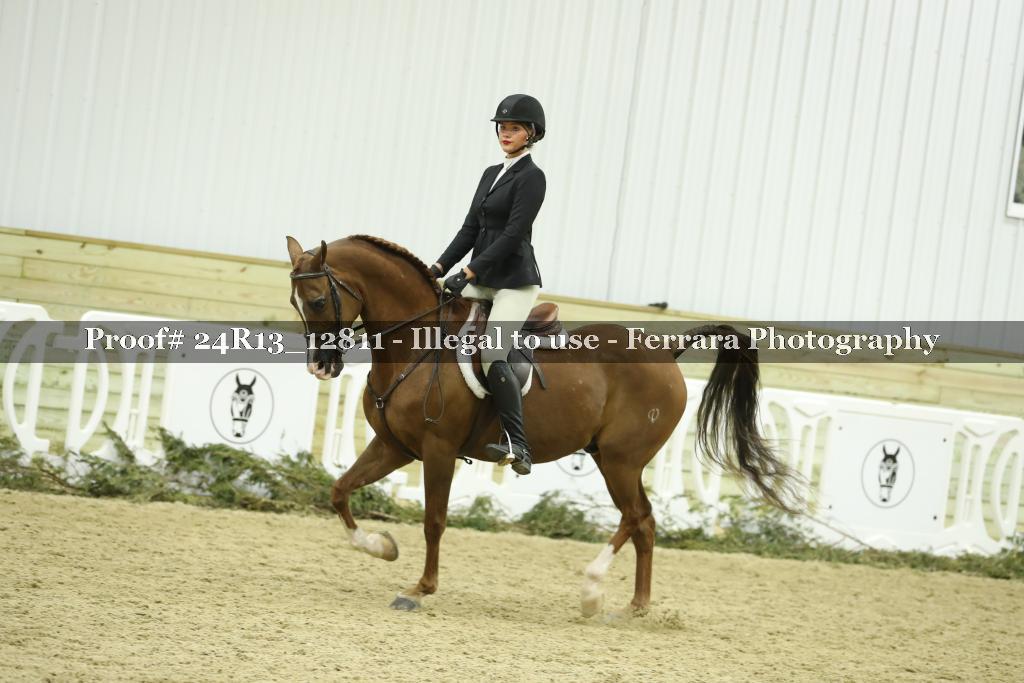 Proof 24R13_12811