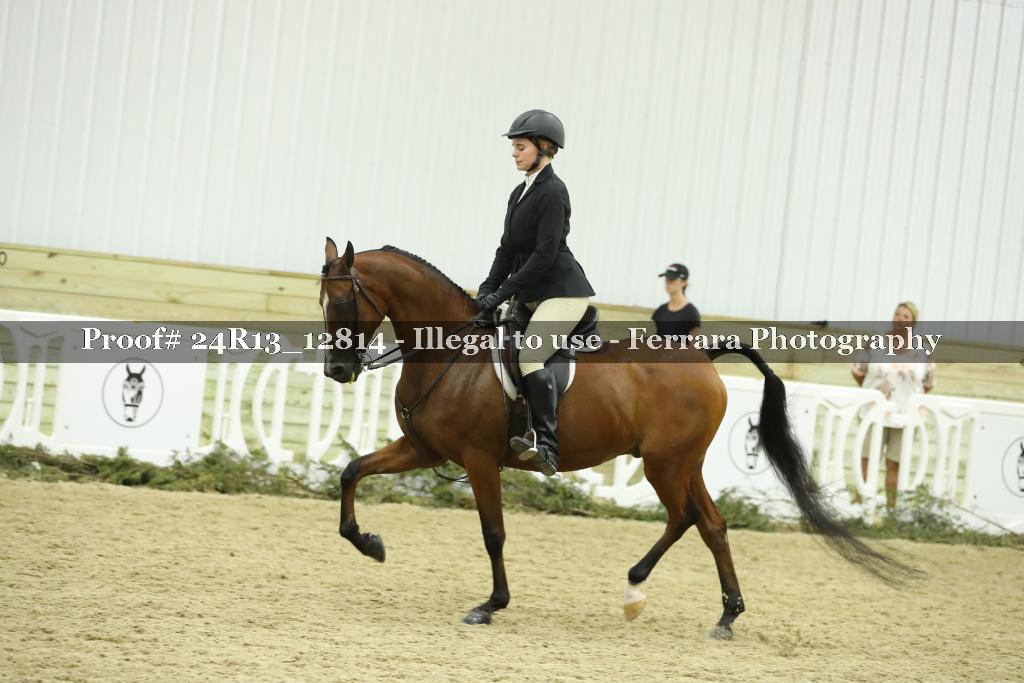 Proof 24R13_12814