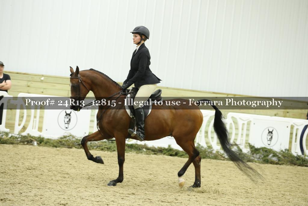 Proof 24R13_12815