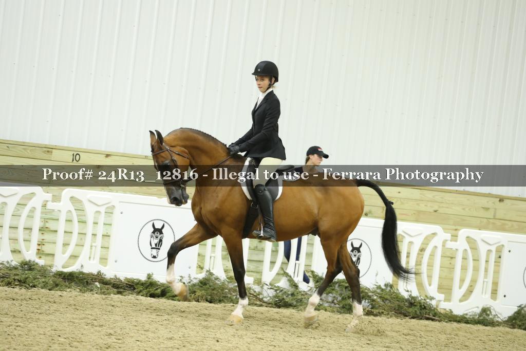 Proof 24R13_12816