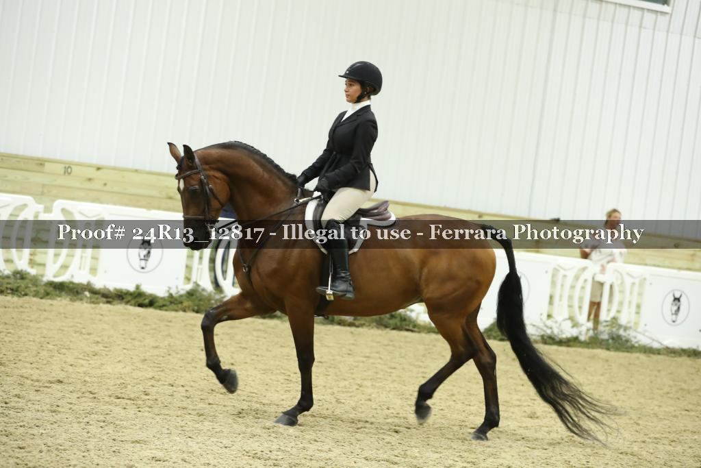 Proof 24R13_12817