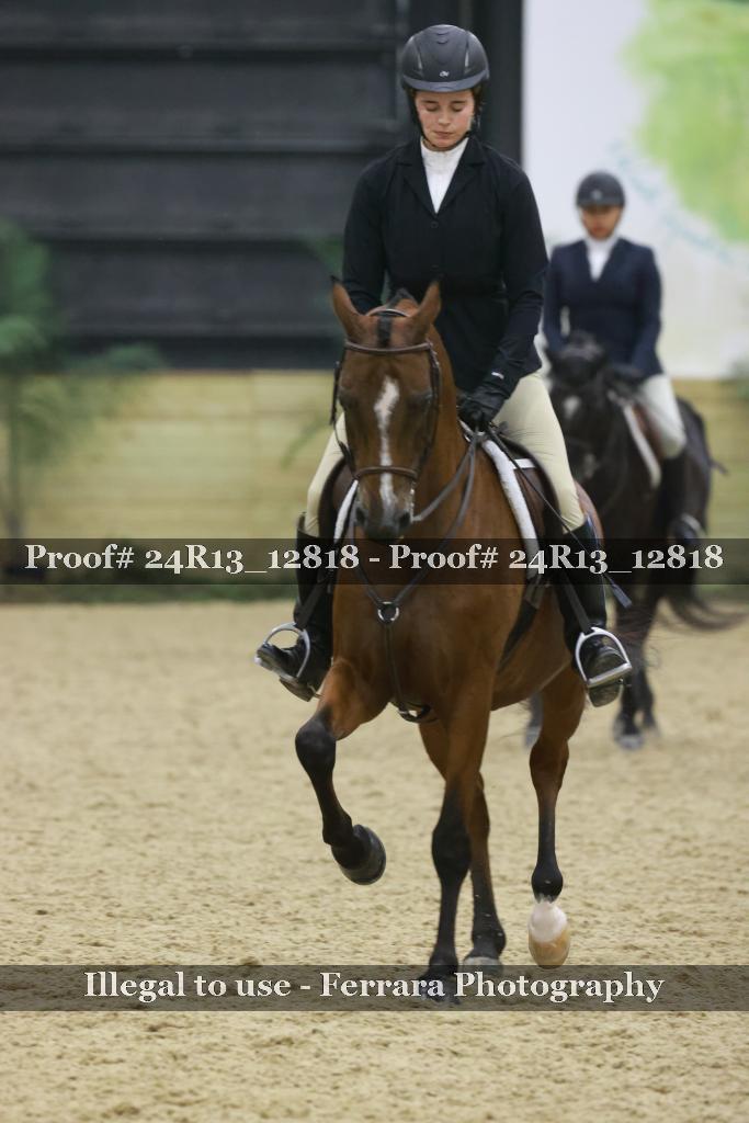 Proof 24R13_12818