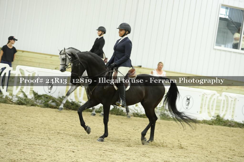 Proof 24R13_12819