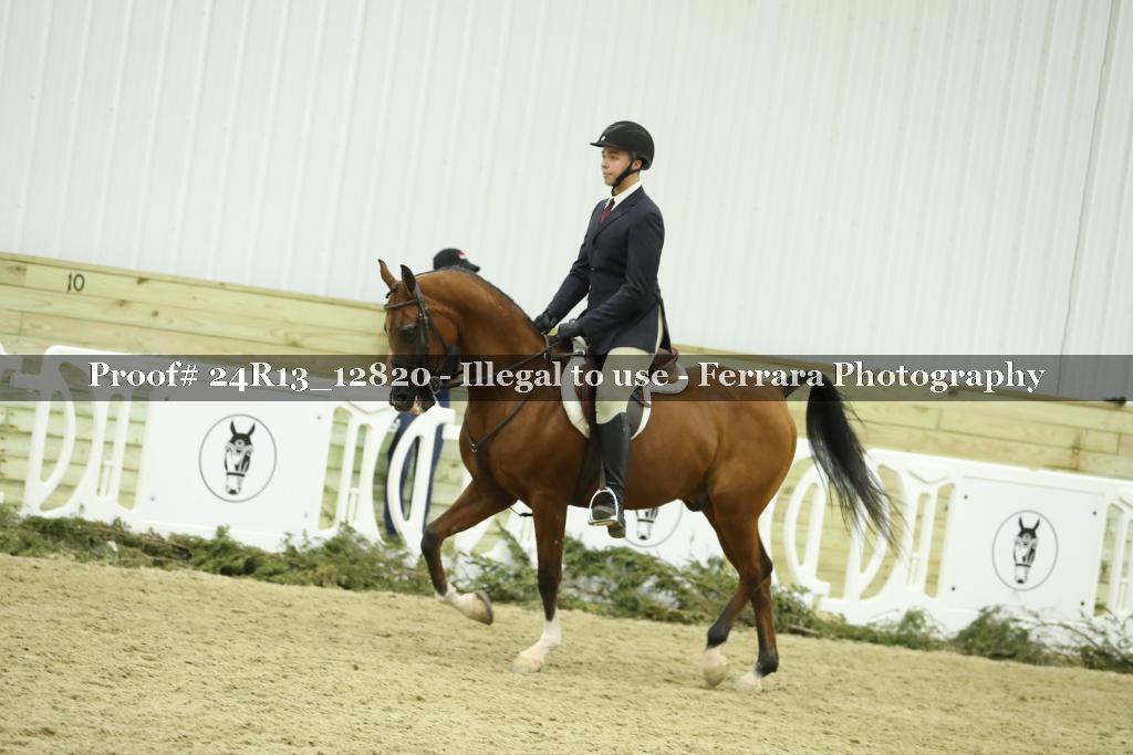 Proof 24R13_12820