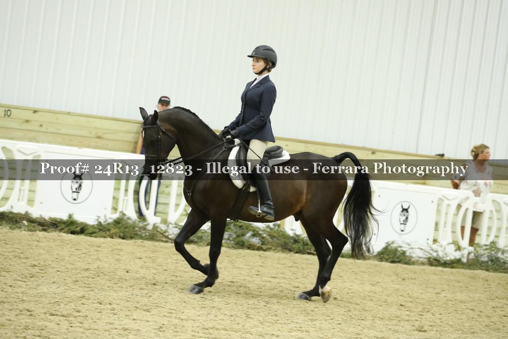 Proof 24R13_12823