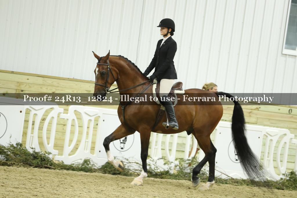 Proof 24R13_12824
