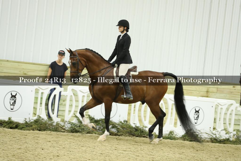 Proof 24R13_12825