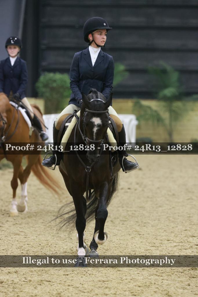 Proof 24R13_12828