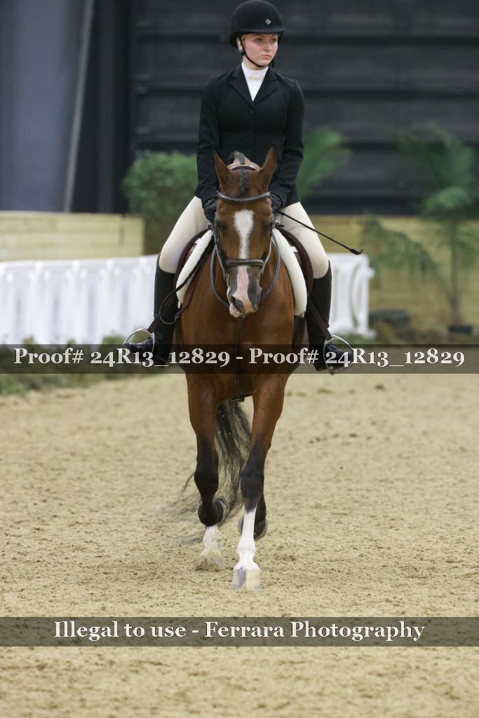 Proof 24R13_12829