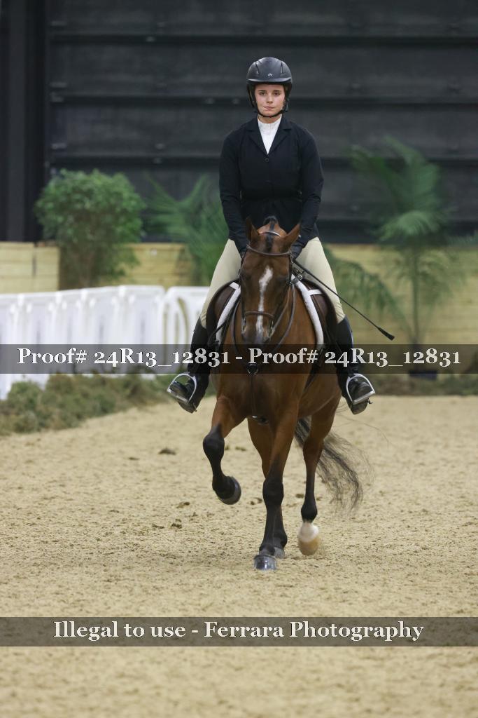 Proof 24R13_12831