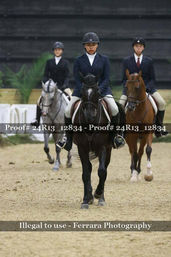 Proof 24R13_12834