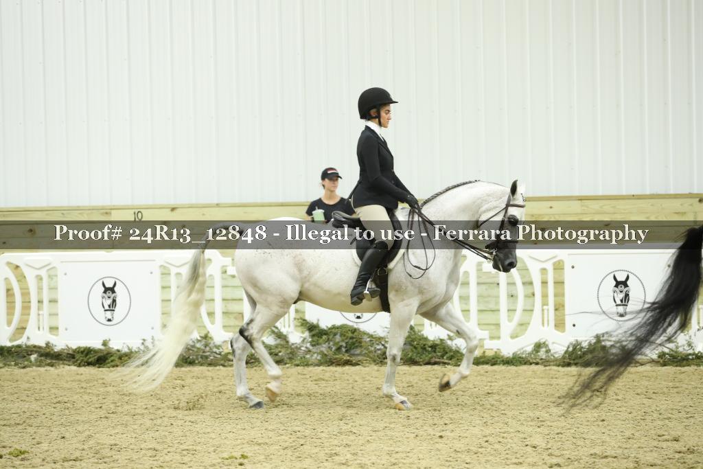 Proof 24R13_12848