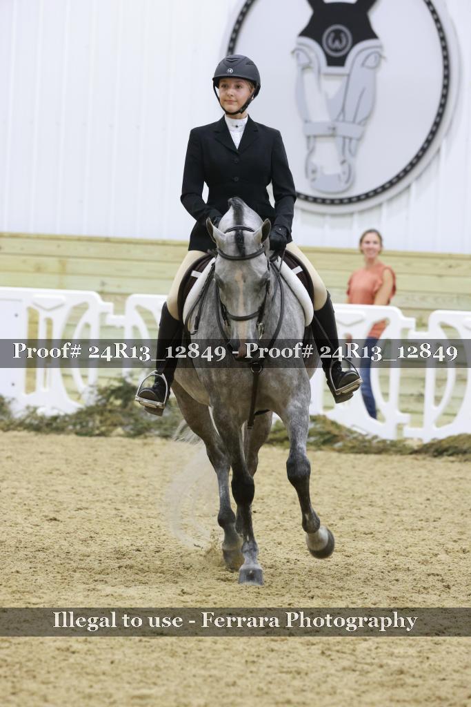 Proof 24R13_12849