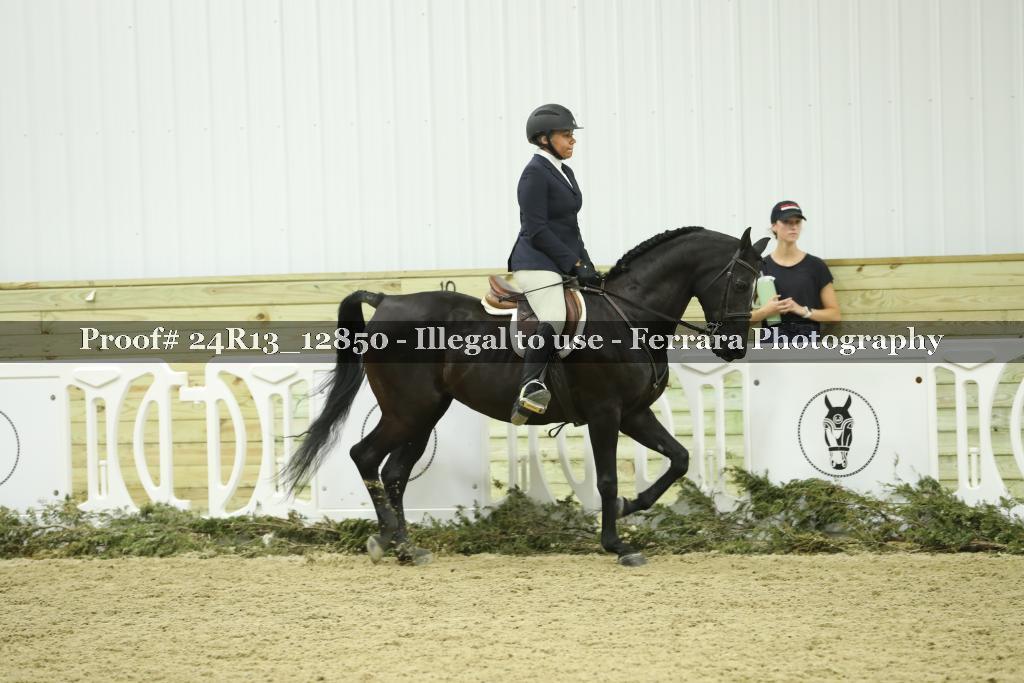 Proof 24R13_12850